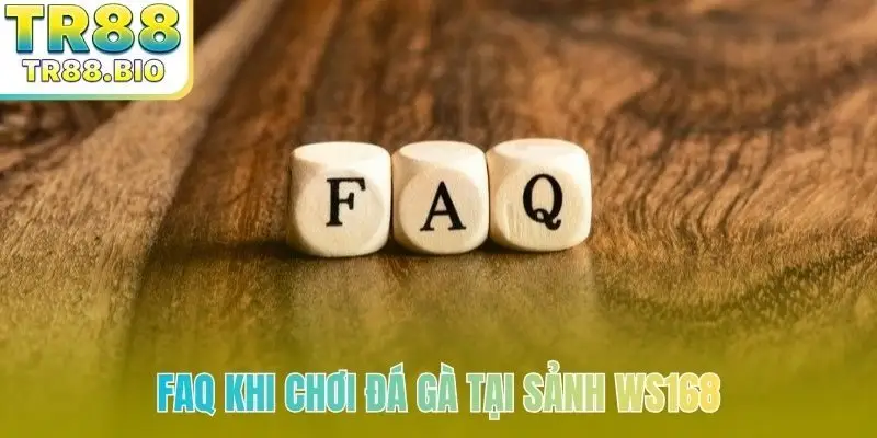 FAQ khi chơi đá gà tại sảnh Ws168
