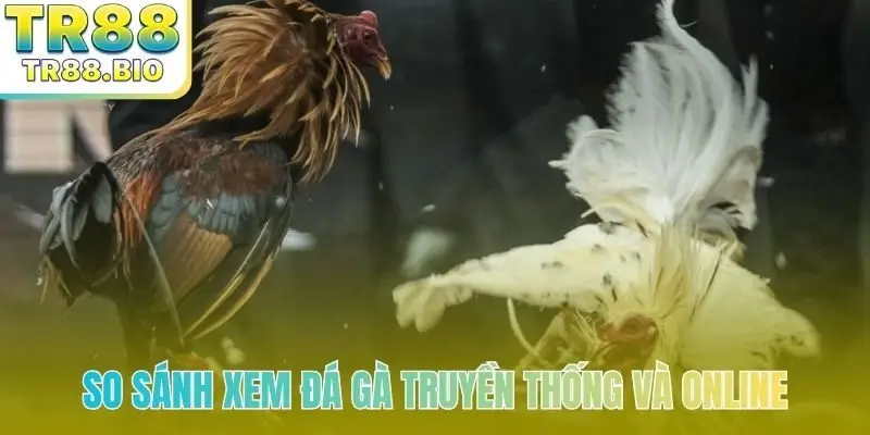 So sánh xem đá gà truyền thống và online